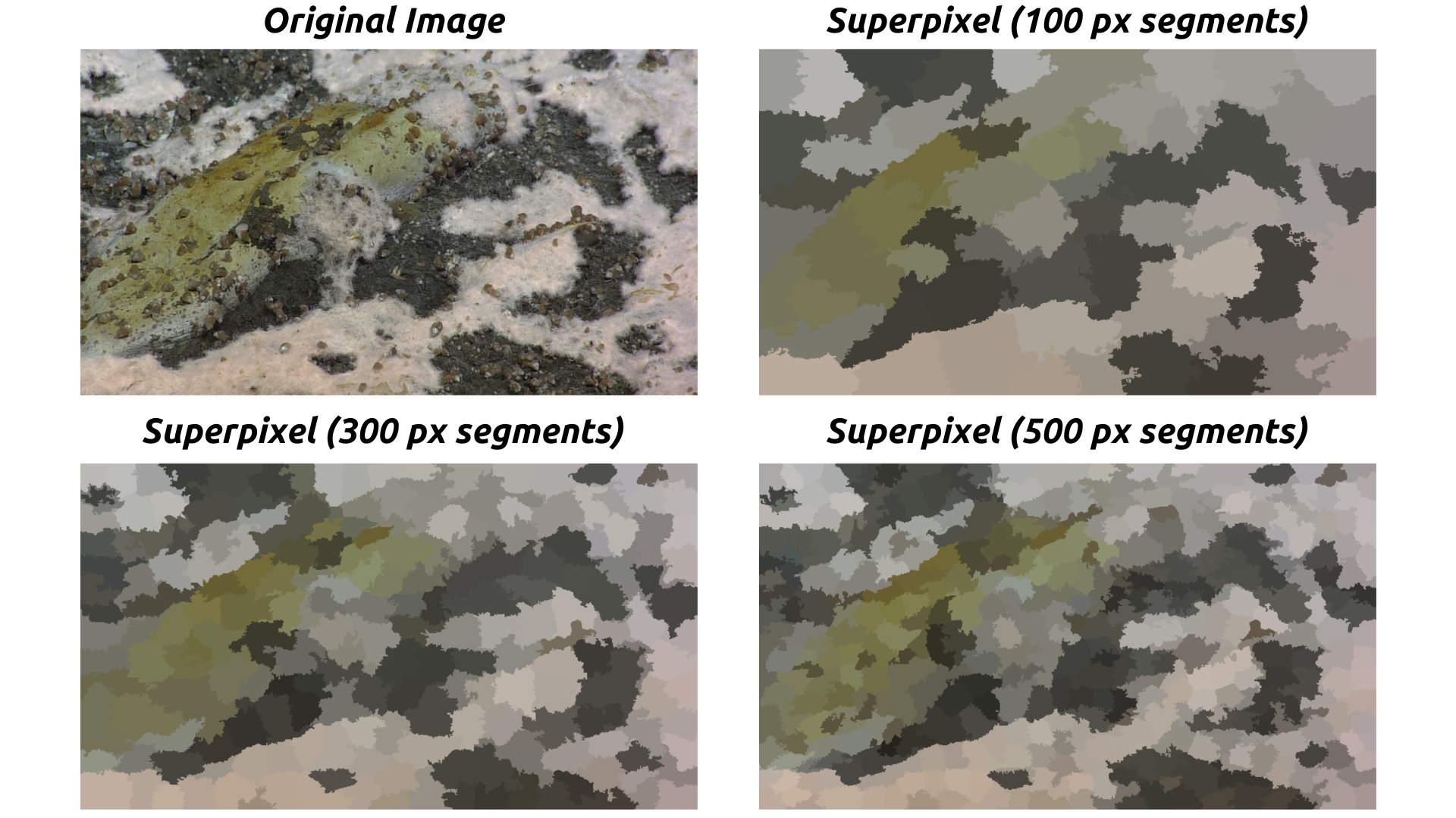 ../_images/superpixel_segmentation.png