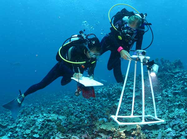 Marine biologists use photoquadrats to record species diversity and percent coral cover underwater at the Papahānaumokuākea Marine National Monument in Hawai‘i. Credit: National Oceanic and Atmospheric Administration (NOAA)