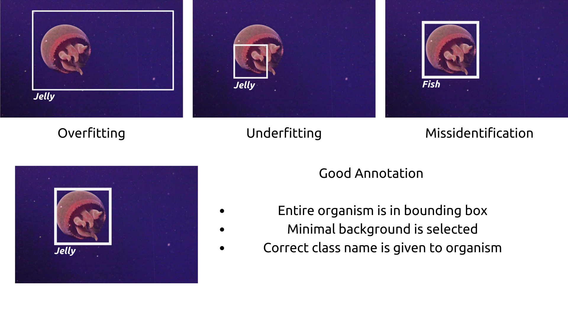 Examples of bad bounding box annotations: overfitting, underfitting, and misidentification. Credit: A.Carter, OOI-NS